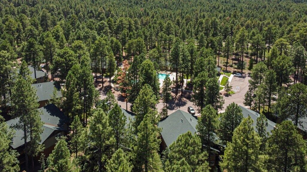 Wyndham Pinetop - Stunning Studio