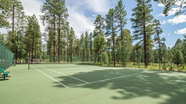 A tennis court surrounded by tall trees, with a green fence and benches.