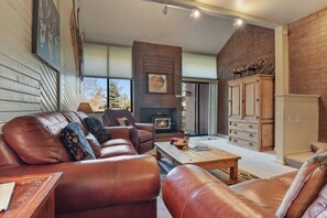 Televisio, takka, DVD-soitin, stereot