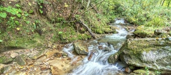 Keaton Creekside Cottage - Cozy, Charming, Incredible Location In Maggie Valley