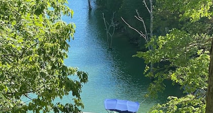 Douglas Lakefront home - dock, decks, firepit perfect for multi-family getaway!