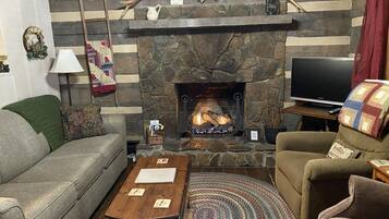 Smart TV, fireplace, DVD player, books