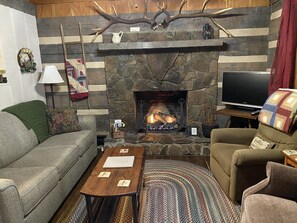 Smart TV, fireplace, DVD player, books