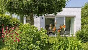 Een modern huis met een grote boom, een gazon en een terras met stoelen.