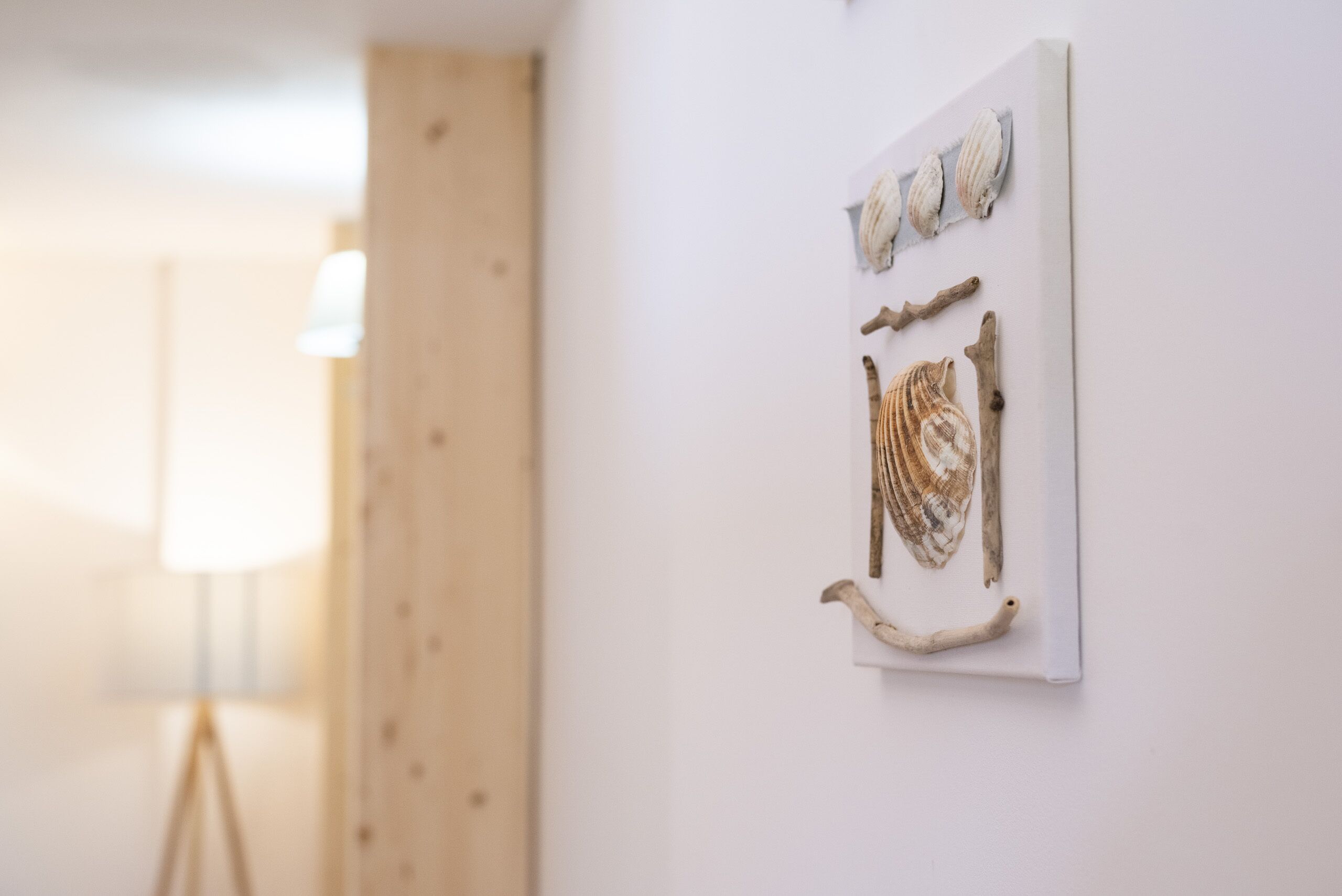 Een muur met een ingelijst kunstwerk met schelpen en drijfhout.