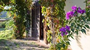 A stone pathway leading to a building with a wooden door and a window with shutters. - Agriturismo Terre di Castiglione (Castiglione della Pescaia)