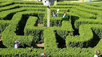 أنشطة الأطفال