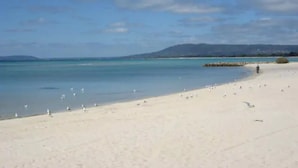 A beach with clear water, a sandy shore, and a distant mountain range. - Secret Dream Location with WIFI and Wine (Rye)