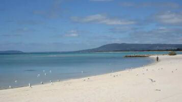 بالقرب من الشاطئ