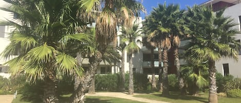 Une cour intérieure agrémentée de palmiers et un bâtiment moderne doté de balcons.