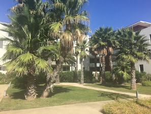A courtyard with palm trees and a modern building with balconies.