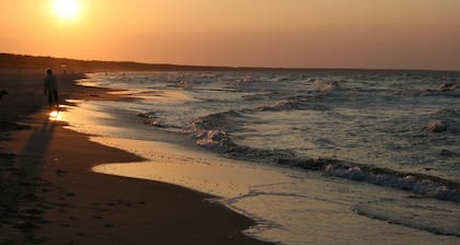 Strandidyll im Küstenwald Ferienwohnung 4 - Ferienwohnung 4 (DG, rechts)