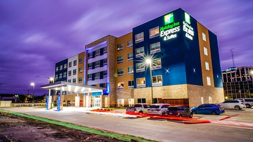 Holiday Inn Express & Suites Dallas Central Market Center by IHG