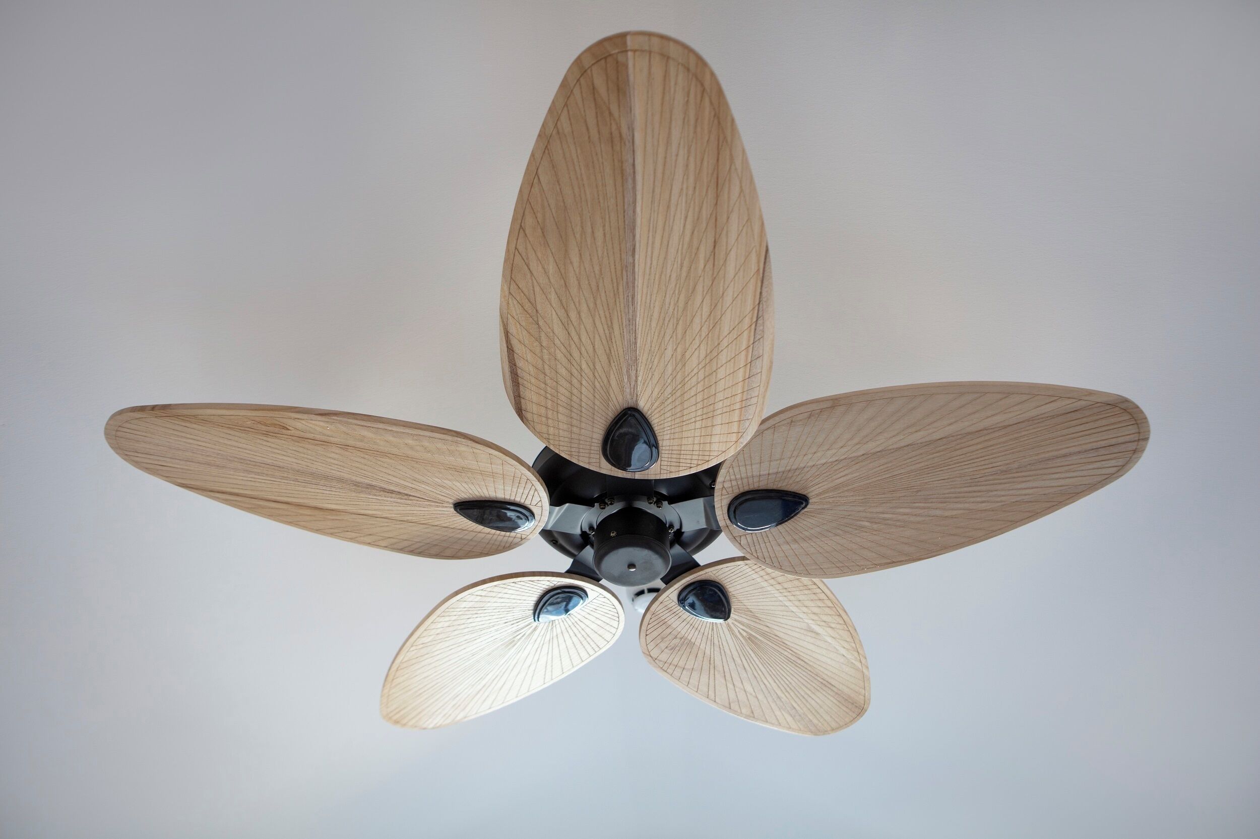 Um ventilador de teto com quatro lâminas de madeira e um motor central.