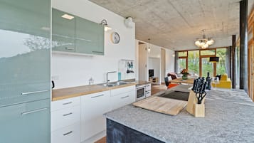 Fridge, oven, stovetop, dishwasher