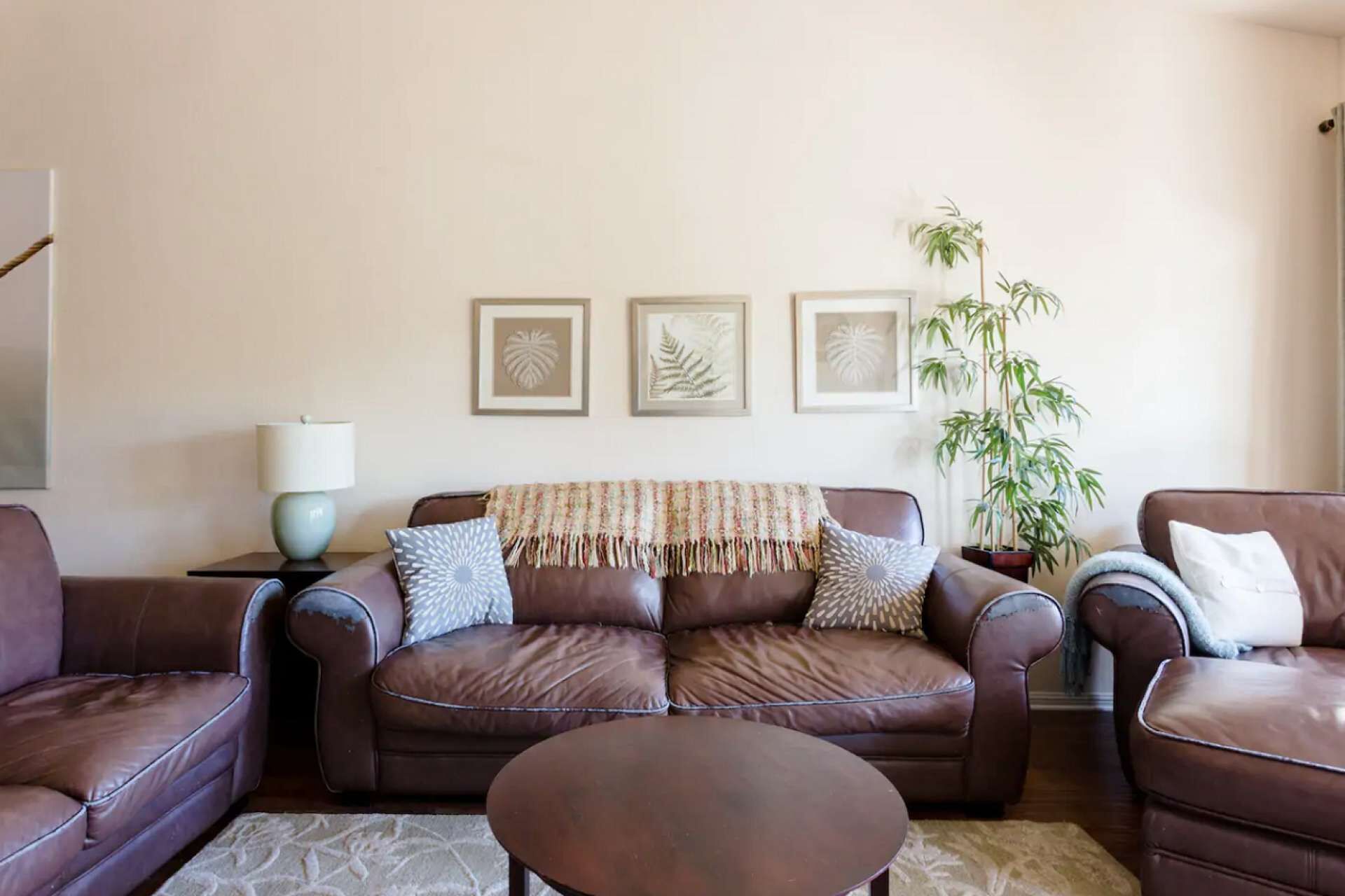 A living room with a brown leather sofa, a round coffee table, and a potted bamboo plant.