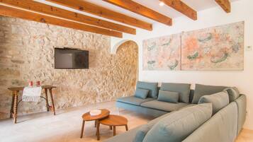 Télévision, cheminée, lecteur de DVD