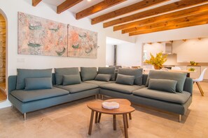 TV, fireplace, DVD player - Stunning Holiday Home “Finca Rafal” with Garden, Pool, Terraces & WiFi; Parking Available (Son Servera)