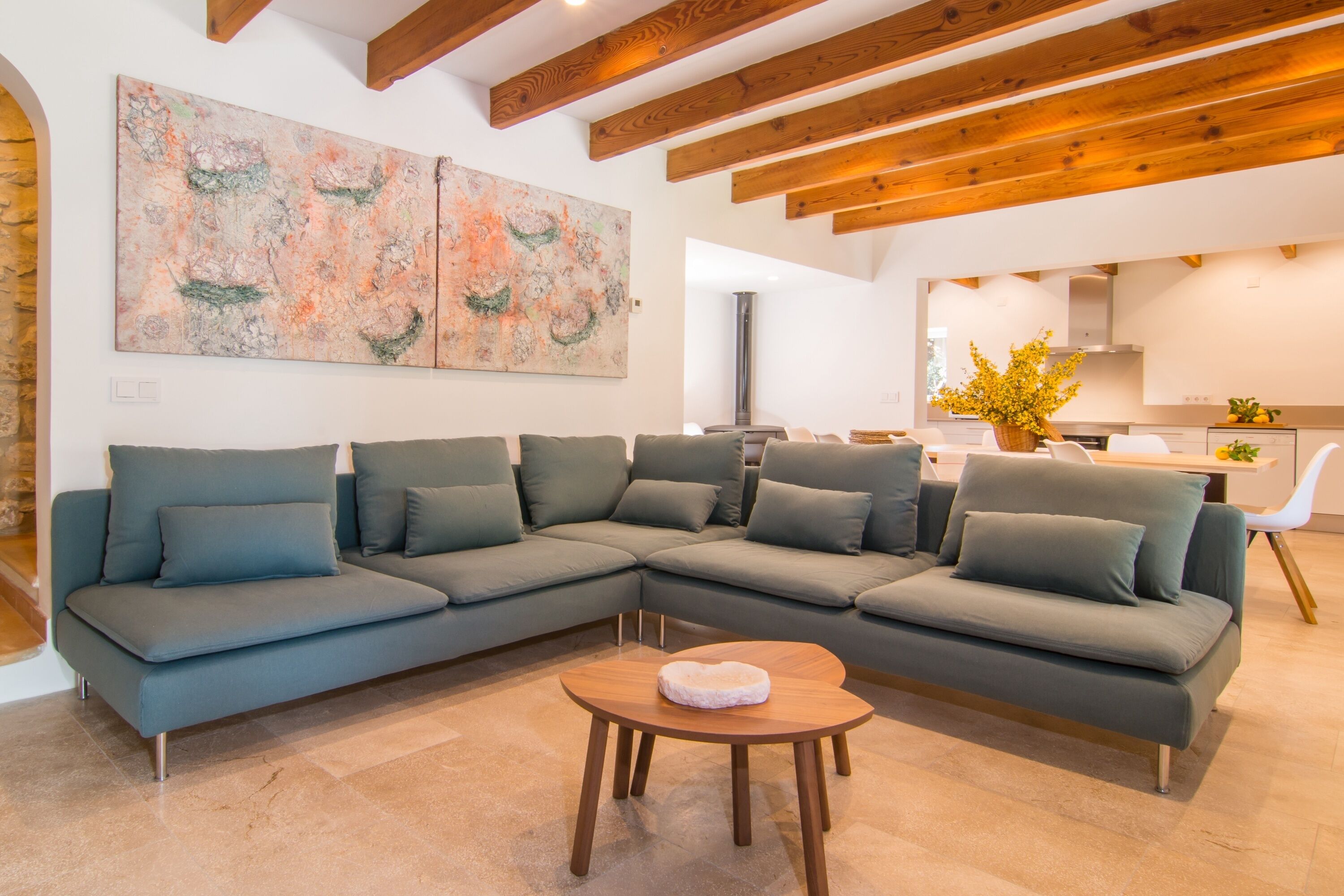 Télévision, cheminée, lecteur de DVD