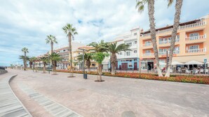 A paved promenade with palm trees, a curved walkway, and multi-story buildings with balconies and signage.