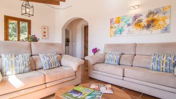 Télévision, cheminée, lecteur de DVD