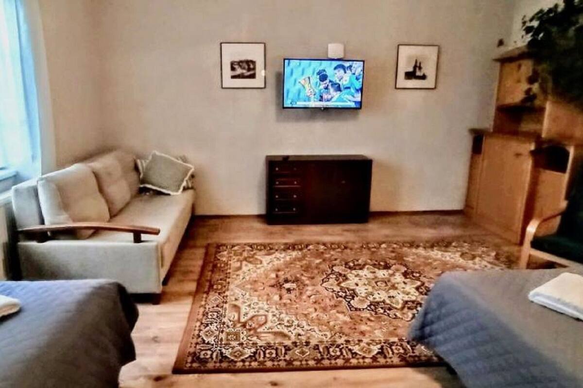 Flat-screen TV