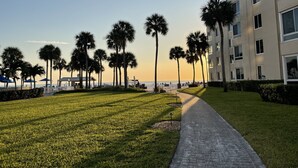 A pathway leading to a building with a beach view, surrounded by palm trees. - Siesta Key Resort, Private beach, pickle ball & tennis paradise. (Siesta Key)