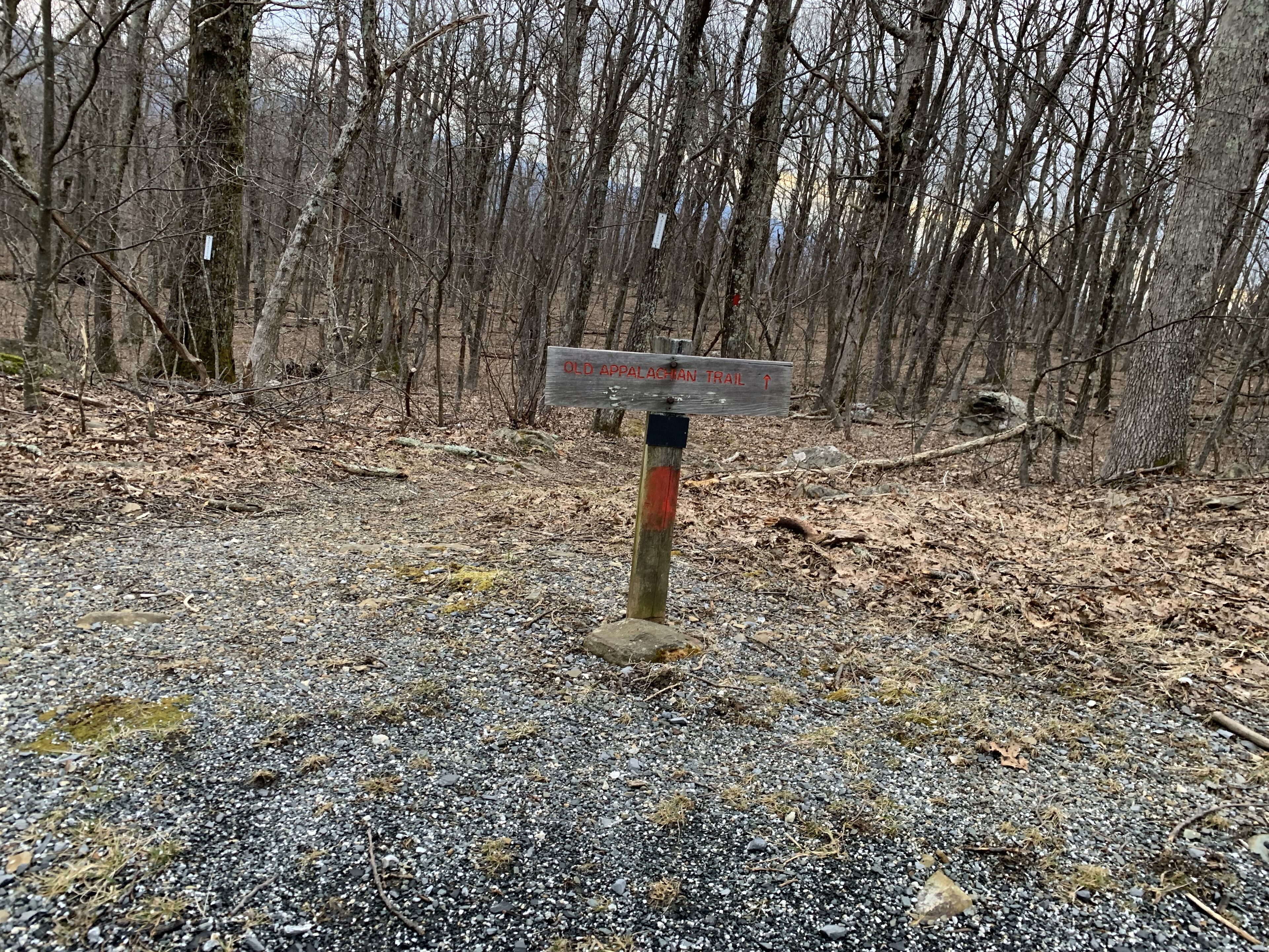 A signpost in a forested area with a gravel path.