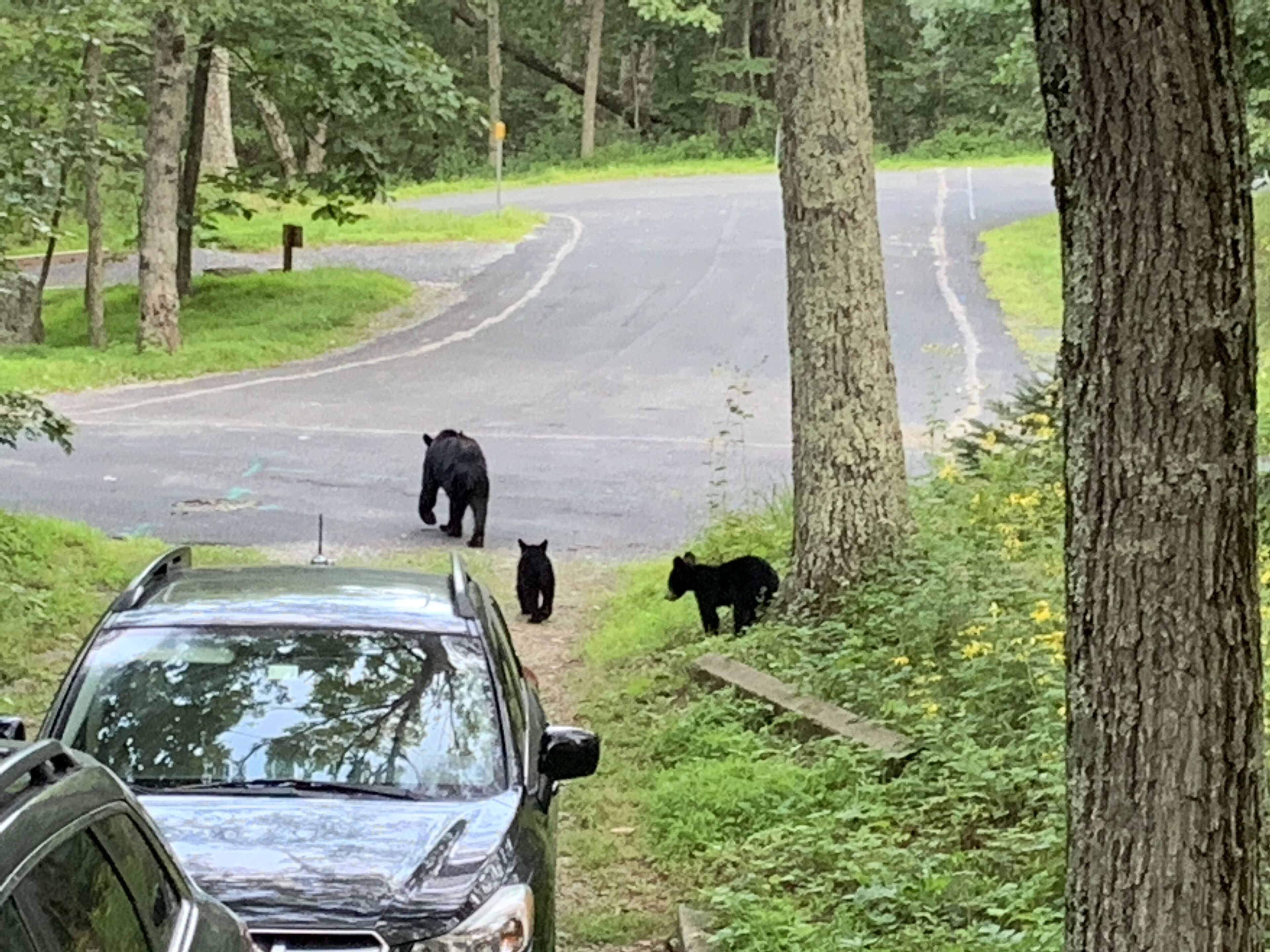 Une route avec une voiture garée sur le bord.