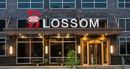 Blossom Hotel Houston