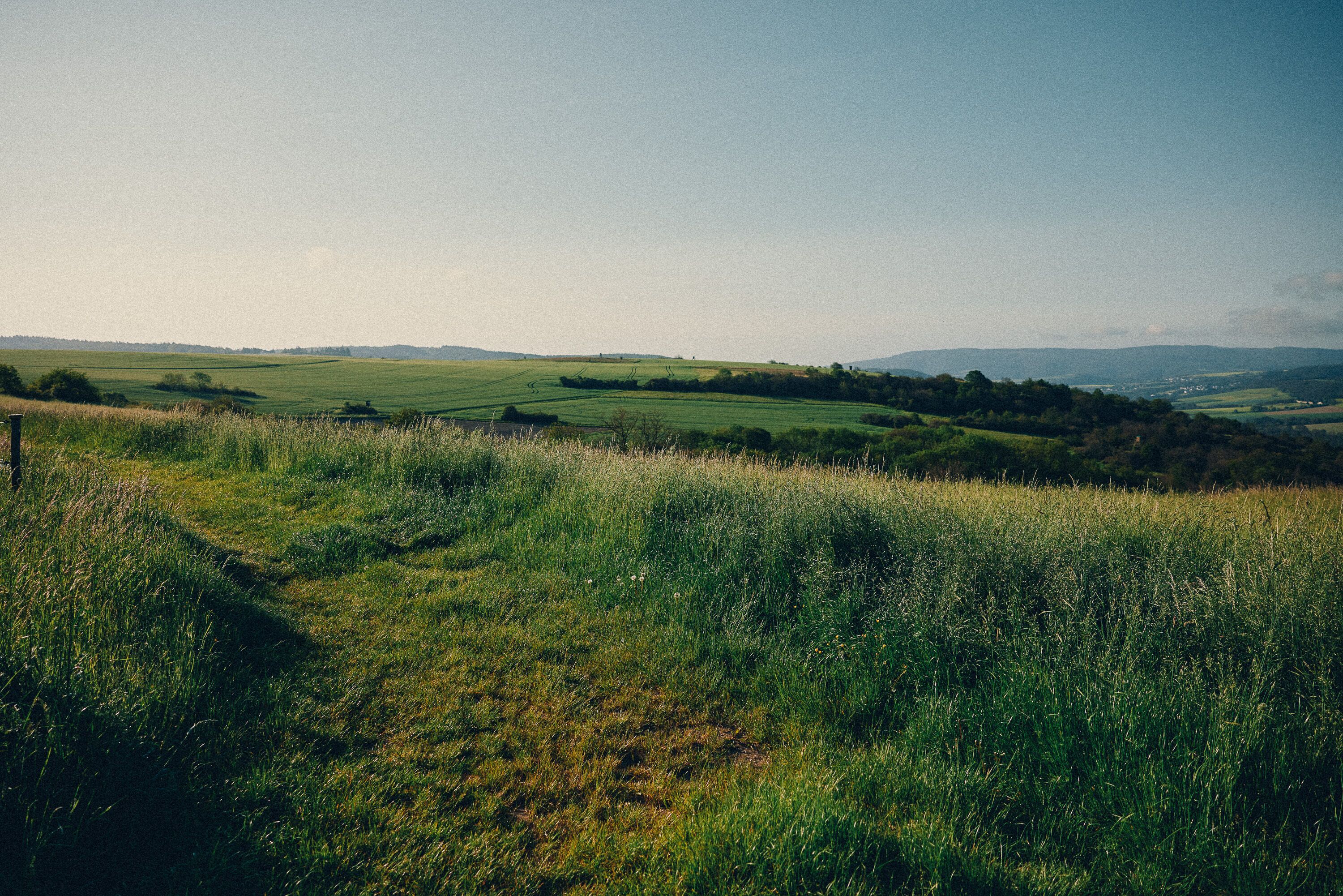 A grassy field with a wooden fence in the foreground.