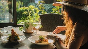 A dining table with plates of food, a potted plant, and a window view of greenery and a building.