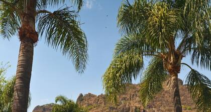 La Buena Vibra Wellness Resort & SPA