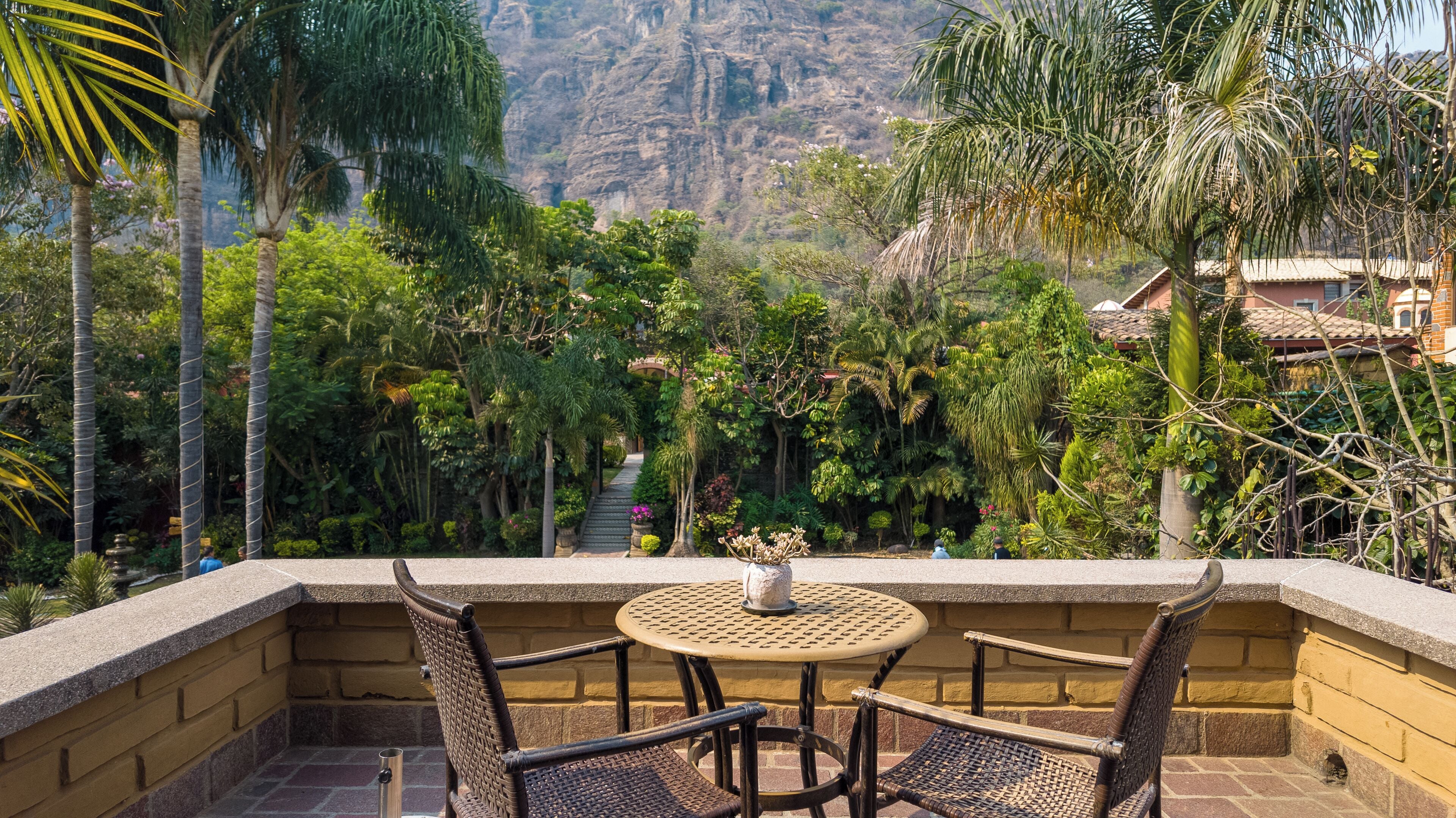 Junior Suite | Terrace/patio