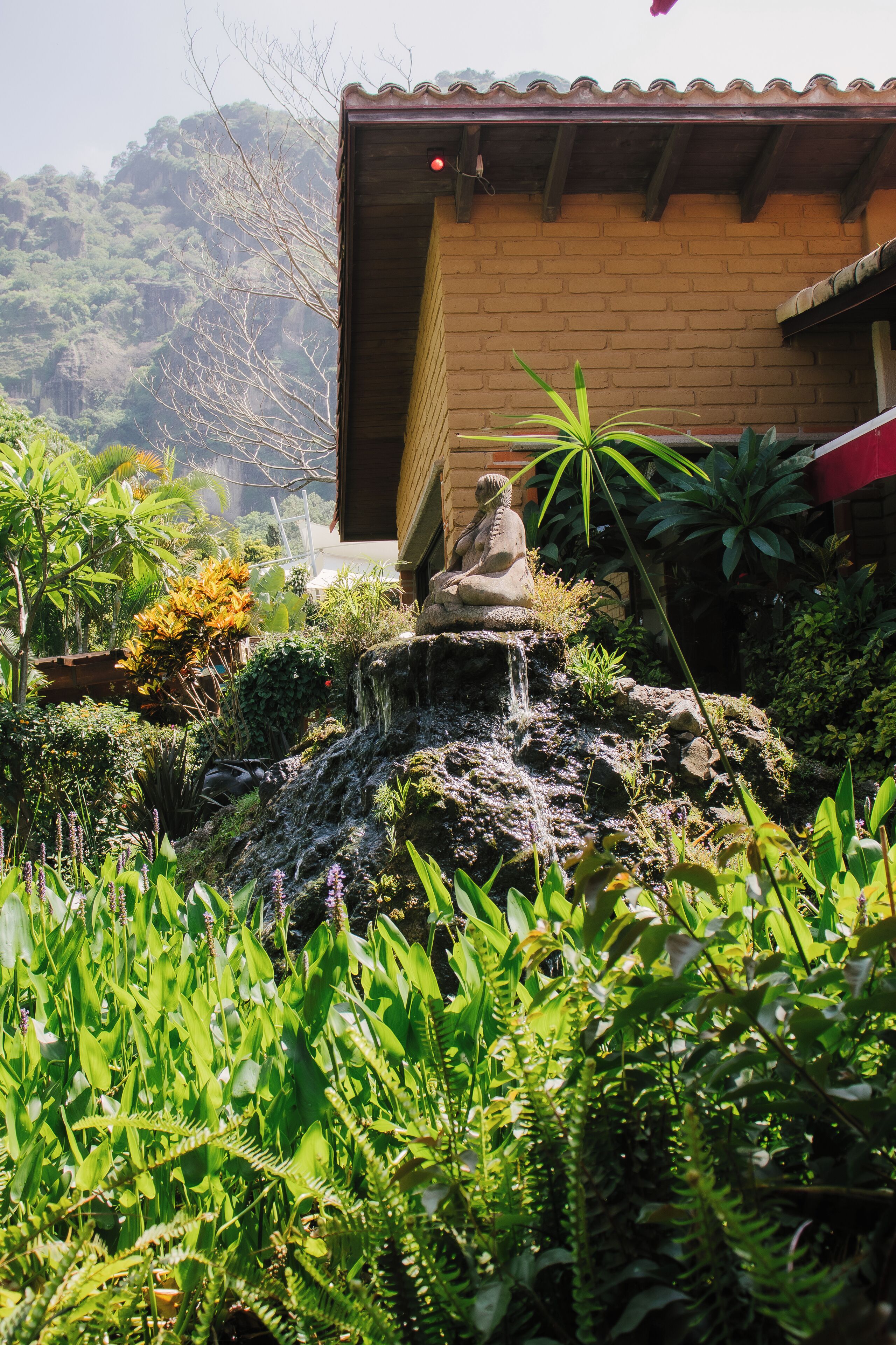 A serene garden with a waterfall, lush greenery, and a traditional building with a tiled roof.