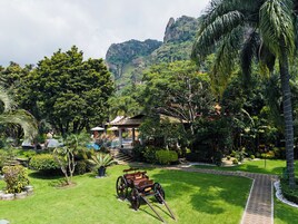 A lush garden with a wooden cart, a pool, and a mountain backdrop.