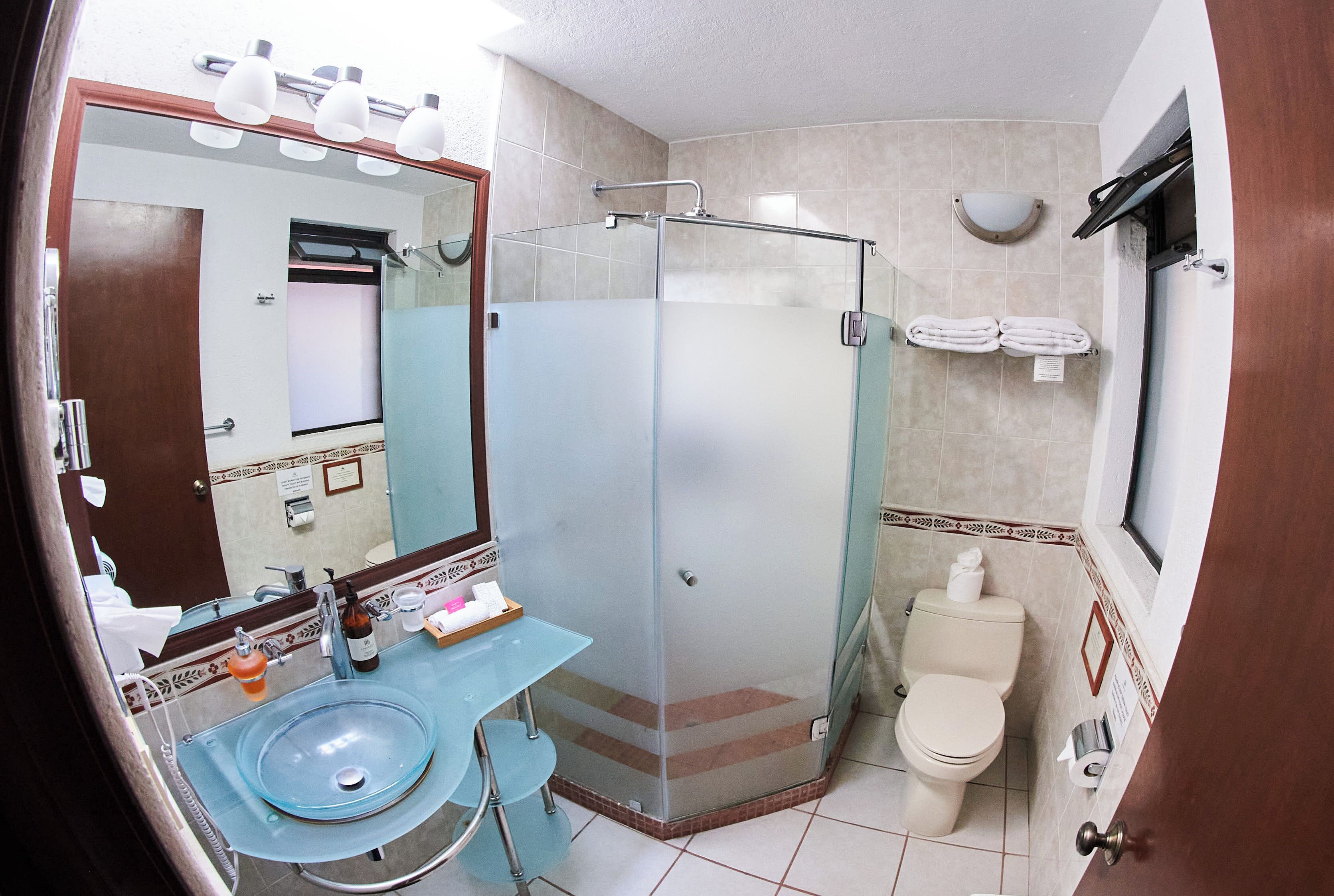 A bathroom with a glass-enclosed shower, a sink with a mirror, and a toilet.