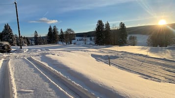 Sneeuw- en skisporten