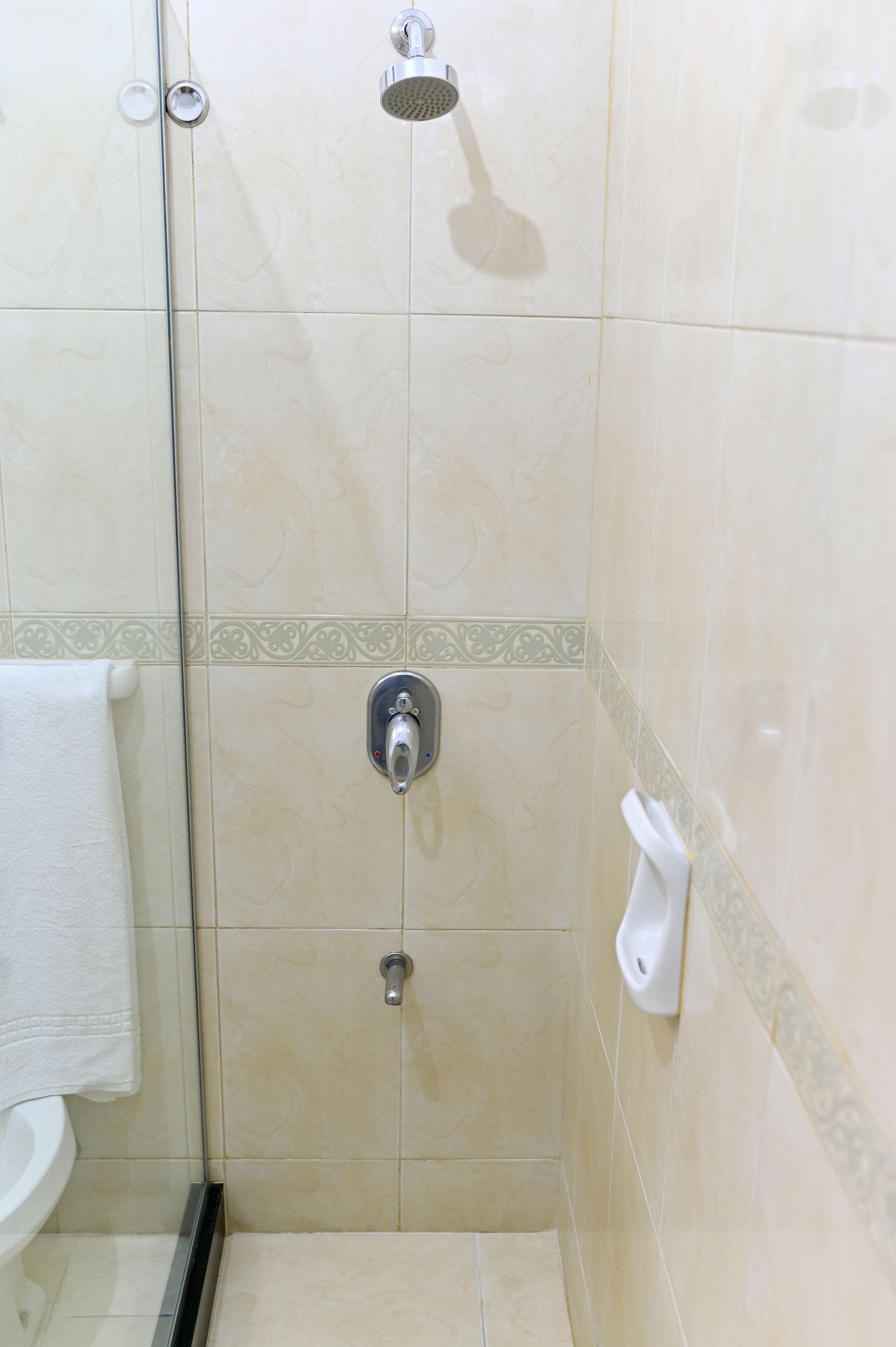Zona de ducha con puerta de vidrio, alcachofa de ducha manual y dispensador de jabón en la pared.