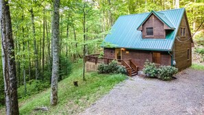 Eine rustikale Holzhütte mit Metalldach, umgeben von dichtem Wald.