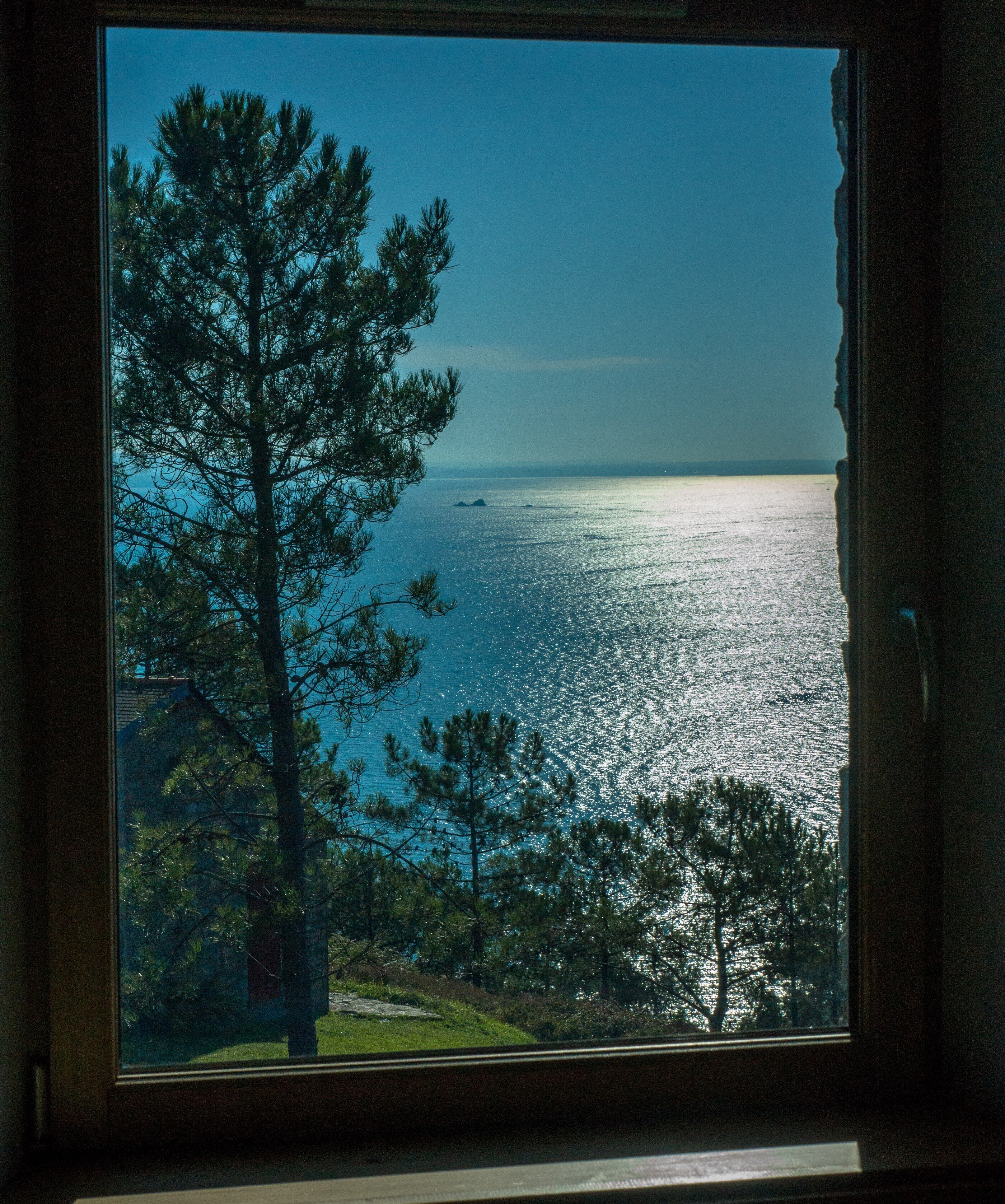 A view through a window of a coastal landscape with a large tree and a body of water.