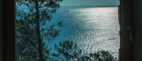 A view through a window of a coastal landscape with a large tree and a body of water.