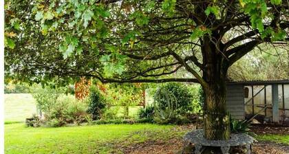 Wodalla Horse Farmstay by Tiny Away