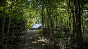 Un sentier bordé d’arbres mène à un chalet doté d’un toit en métal et de murs en bois.