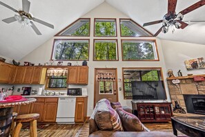 Smart TV, fireplace, DVD player, books