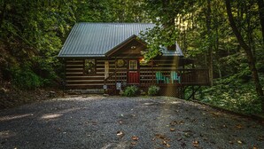 Une cabane rustique avec un toit en métal, entourée d’une forêt dense.