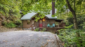 Une cabane rustique avec un toit en métal, entourée d’une forêt dense.