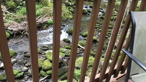 A view of a stream with rocks and moss, viewed through a wooden railing. - Foot of the Smokies, quiet wooded paradise. Gatlinburg Pigeon Forge (Cosby)