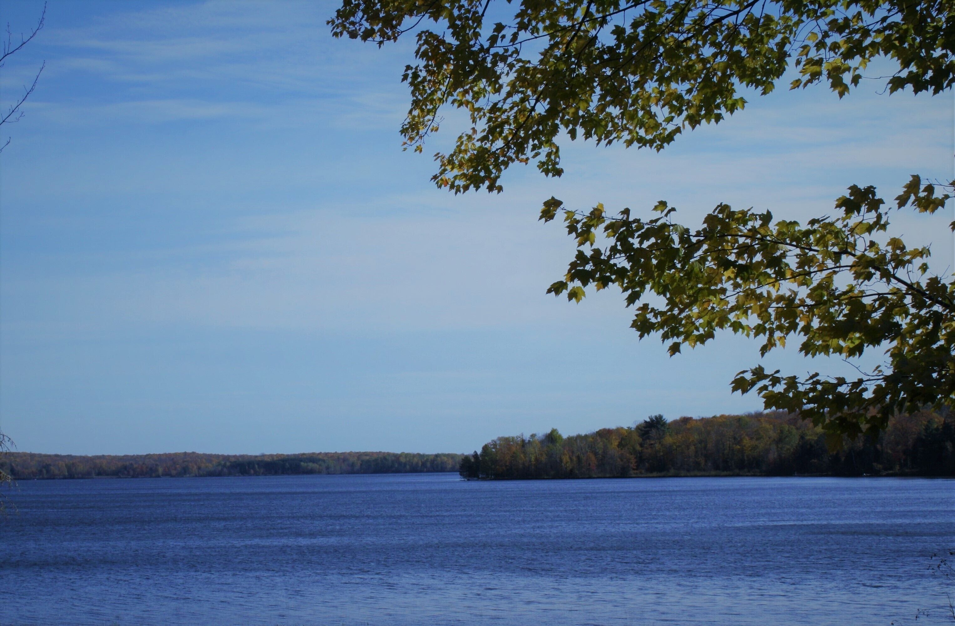 Un lac paisible, avec un ciel dégagé et des arbres au premier plan.