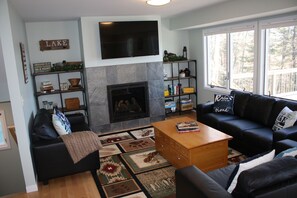 TV connectée, cheminée, lecteur de DVD, livres